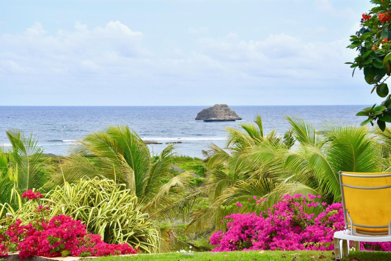 Villa Guadeloupe Saint Francois Acces Mer Piscine Iguana Bay - Villa Zagadi Bagian luar foto