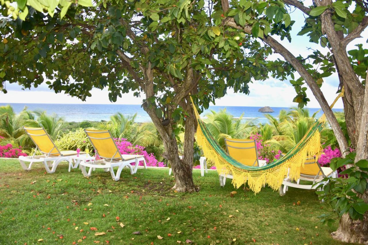 Villa Guadeloupe Saint Francois Acces Mer Piscine Iguana Bay - Villa Zagadi Bagian luar foto