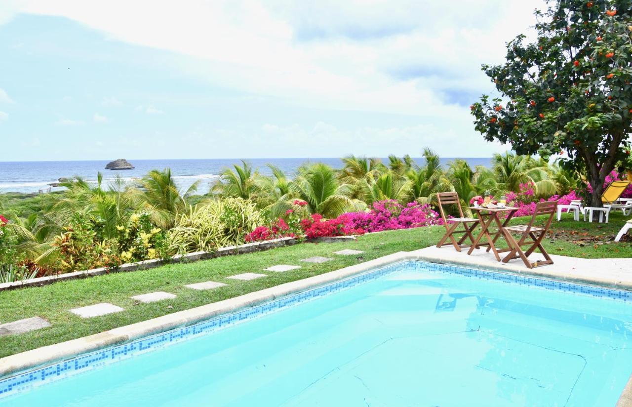 Villa Guadeloupe Saint Francois Acces Mer Piscine Iguana Bay - Villa Zagadi Bagian luar foto
