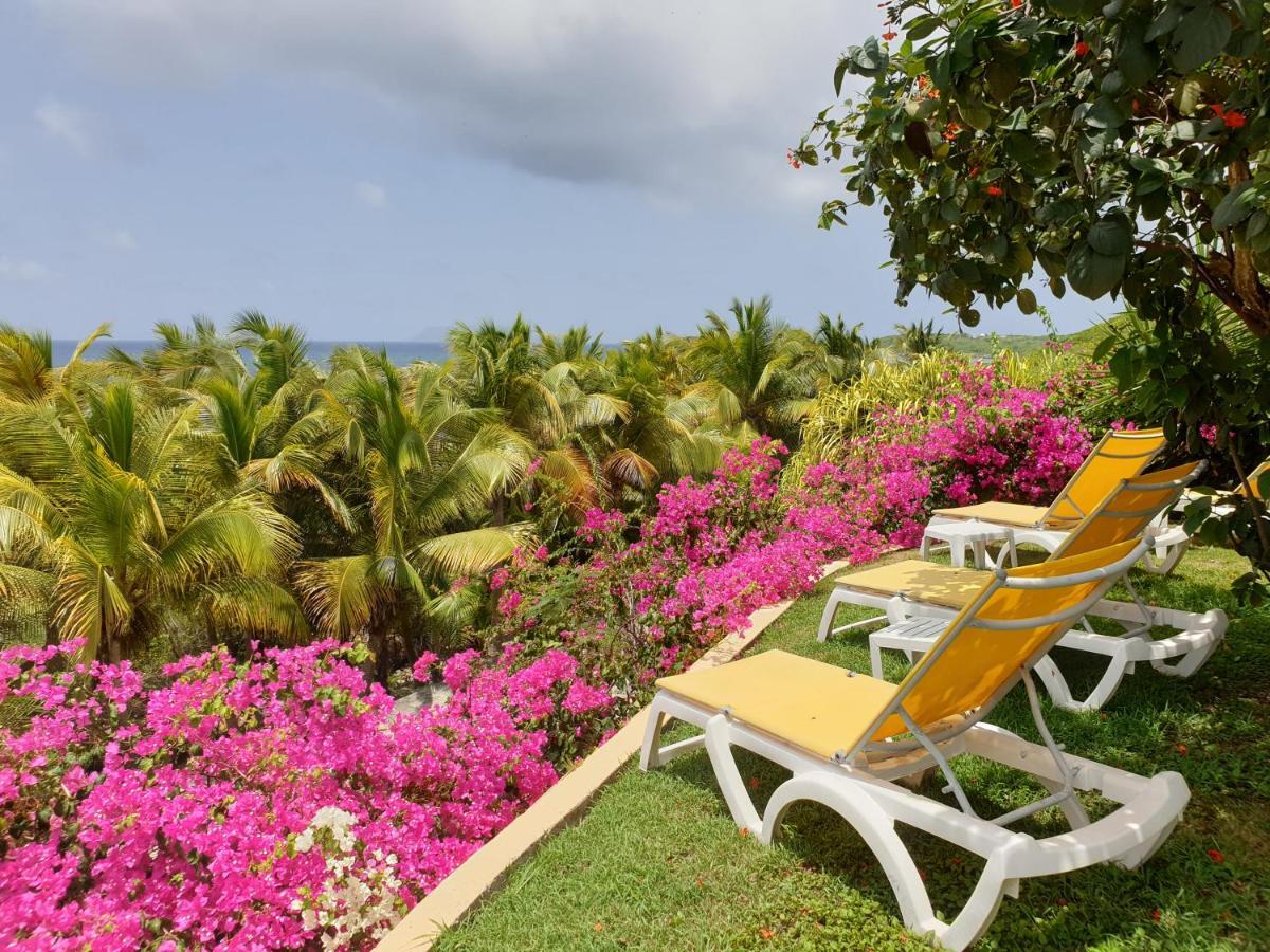 Villa Guadeloupe Saint Francois Acces Mer Piscine Iguana Bay - Villa Zagadi Bagian luar foto