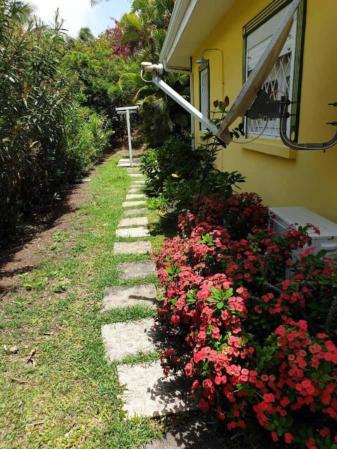 Villa Guadeloupe Saint Francois Acces Mer Piscine Iguana Bay - Villa Zagadi Bagian luar foto
