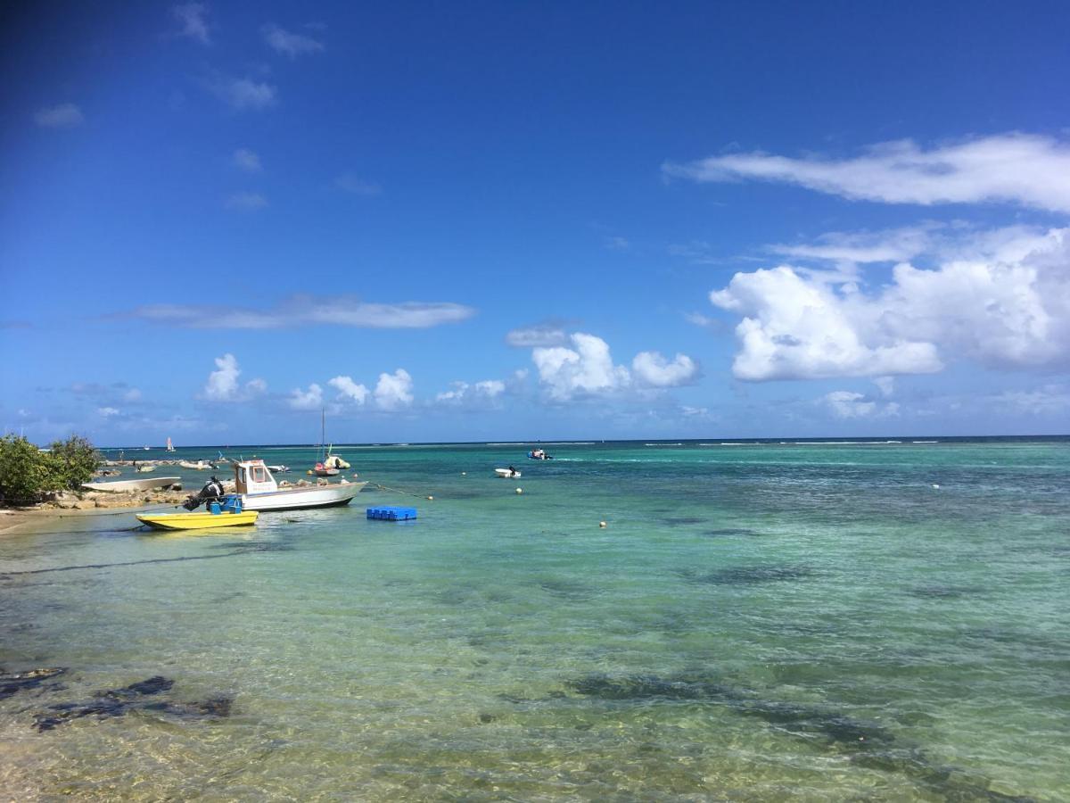 Villa Guadeloupe Saint Francois Acces Mer Piscine Iguana Bay - Villa Zagadi Bagian luar foto