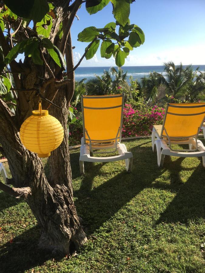 Villa Guadeloupe Saint Francois Acces Mer Piscine Iguana Bay - Villa Zagadi Bagian luar foto