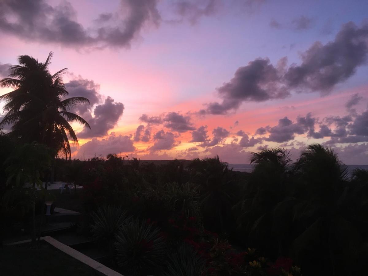 Villa Guadeloupe Saint Francois Acces Mer Piscine Iguana Bay - Villa Zagadi Bagian luar foto